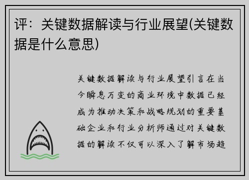 评：关键数据解读与行业展望(关键数据是什么意思)