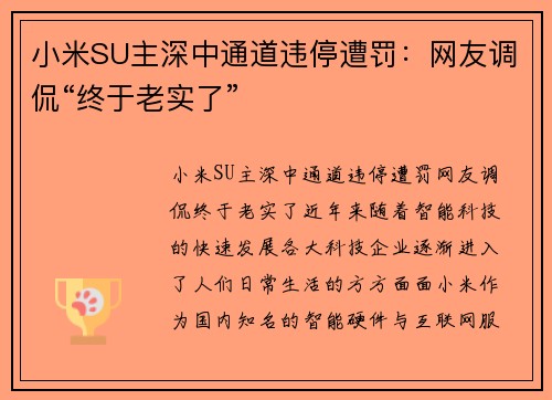 小米SU主深中通道违停遭罚：网友调侃“终于老实了”