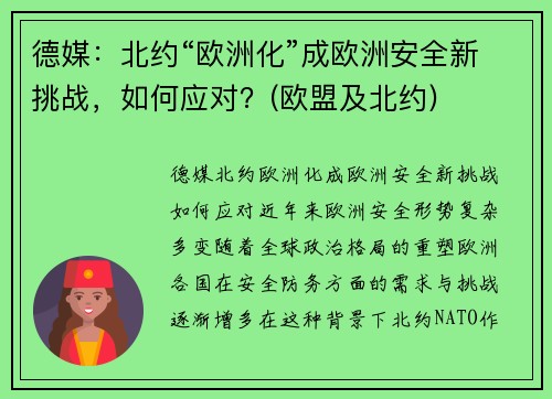 德媒：北约“欧洲化”成欧洲安全新挑战，如何应对？(欧盟及北约)