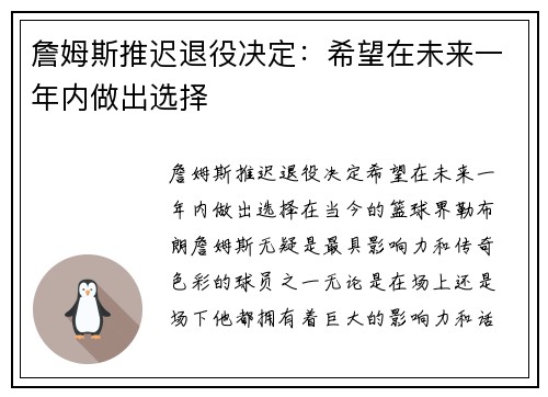 詹姆斯推迟退役决定：希望在未来一年内做出选择